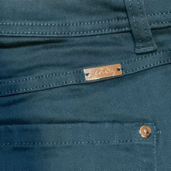 NWT INC International Concepts Jeans Womens Skinny Leg Curvy Fit Stretch Size 14 - Picture 7 of 10
